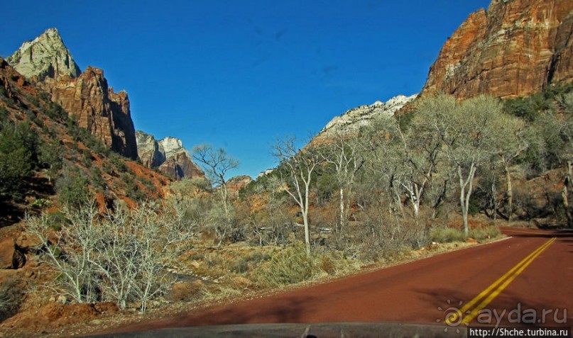 Альбом отзыва "Погружение в каньон Зион. Zion Canyon Scenic Drive"