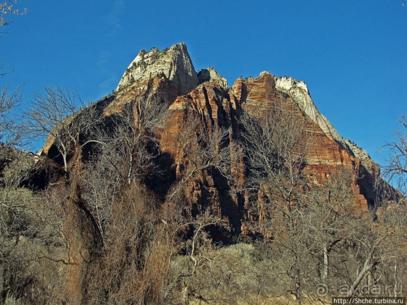 Альбом отзыва "Погружение в каньон Зион. Zion Canyon Scenic Drive"