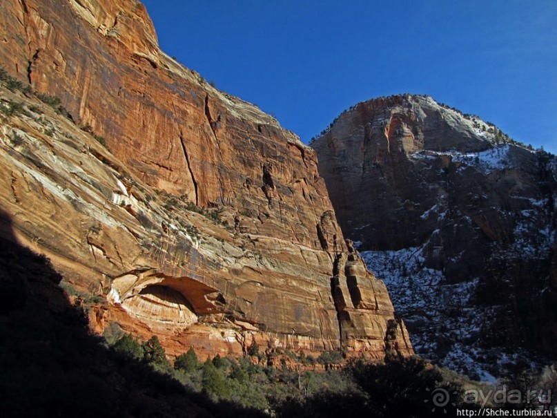 Альбом отзыва "Погружение в каньон Зион. Zion Canyon Scenic Drive"