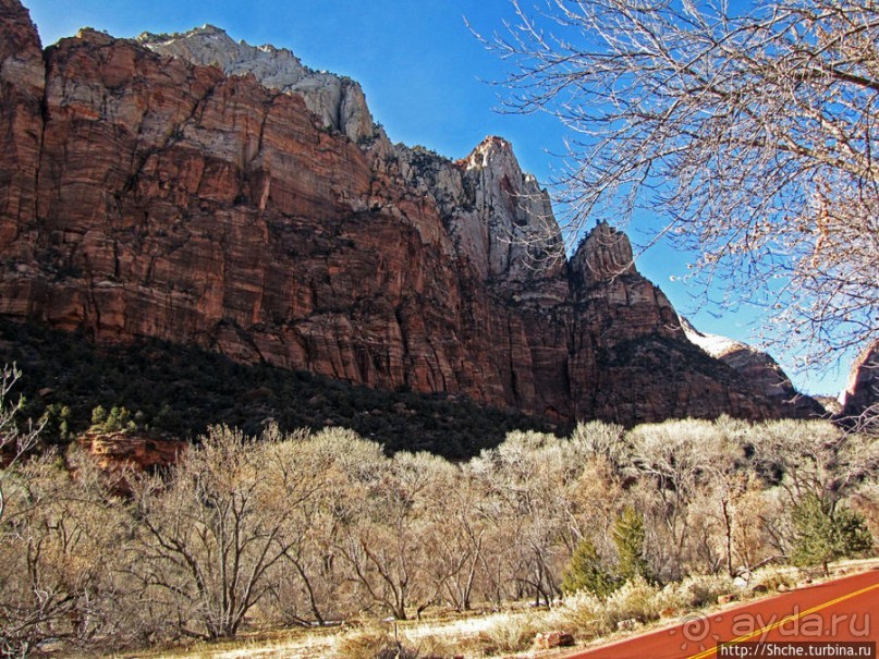 Альбом отзыва "Погружение в каньон Зион. Zion Canyon Scenic Drive"