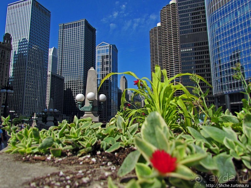 Альбом отзыва "Прогулка вдоль реки в джунглях...бетонных. Chicago Riverwalk"