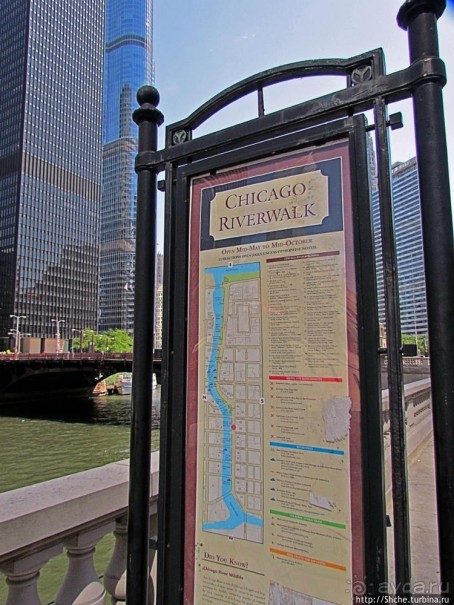 Альбом отзыва "Прогулка вдоль реки в джунглях...бетонных. Chicago Riverwalk"