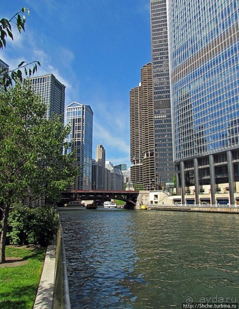 Альбом отзыва "Прогулка вдоль реки в джунглях...бетонных. Chicago Riverwalk"