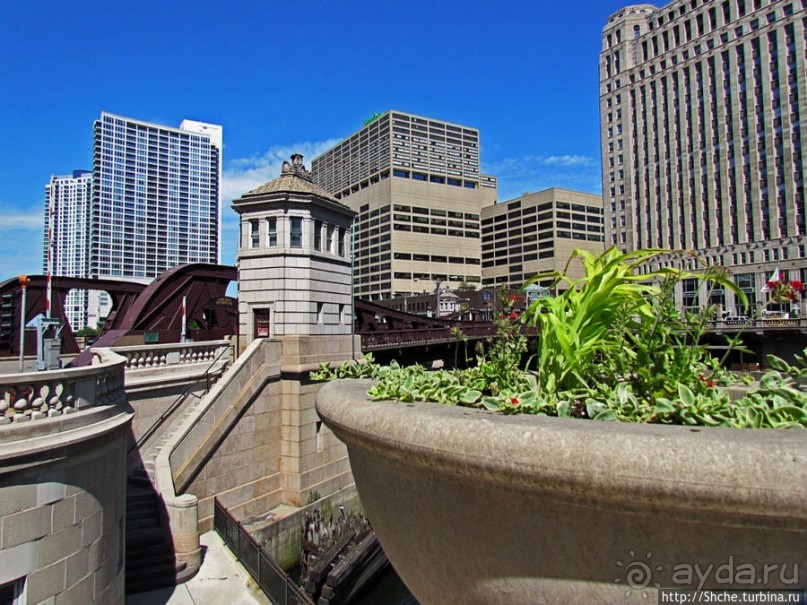 Альбом отзыва "Прогулка вдоль реки в джунглях...бетонных. Chicago Riverwalk"