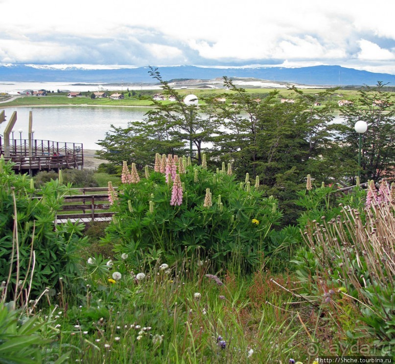 Альбом отзыва "Ushuaia — fin del mundo. Ушуайя — конец света"