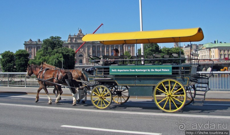 Альбом отзыва "5 часов в Стокгольме. Часть 2. Royal Palace and Gamla Stan"