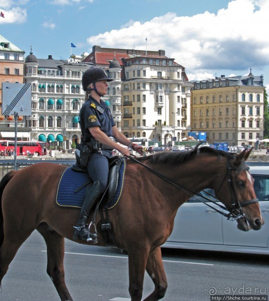 Альбом отзыва "5 часов в Стокгольме. Часть 2. Royal Palace and Gamla Stan"