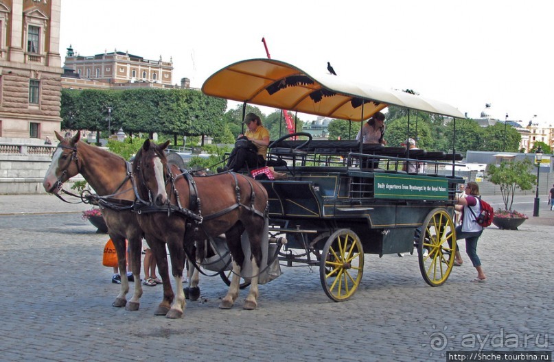 Альбом отзыва "5 часов в Стокгольме. Часть 2. Royal Palace and Gamla Stan"