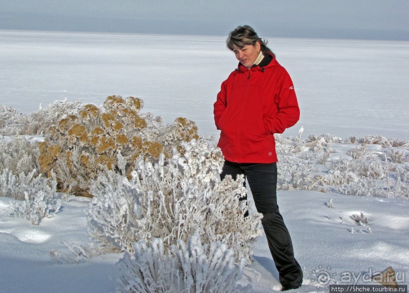 Альбом отзыва "Antelope Island - заповедник в Большом Соленом озере."