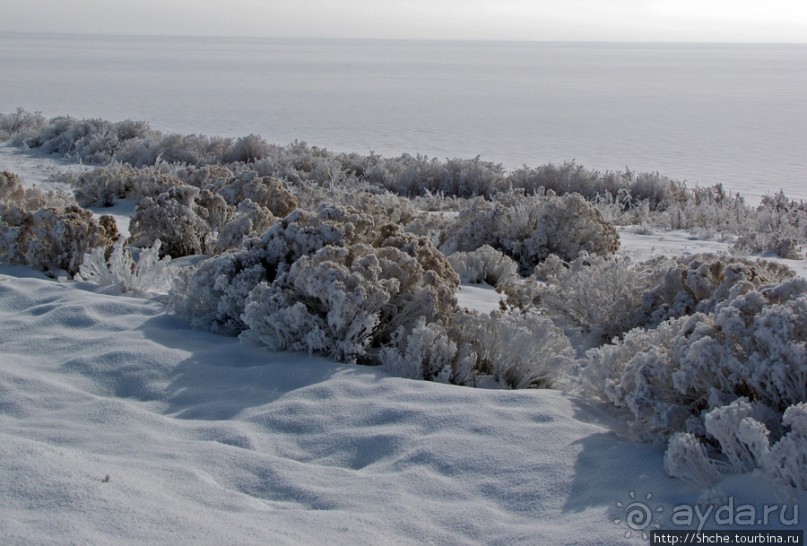 Альбом отзыва "Antelope Island - заповедник в Большом Соленом озере."