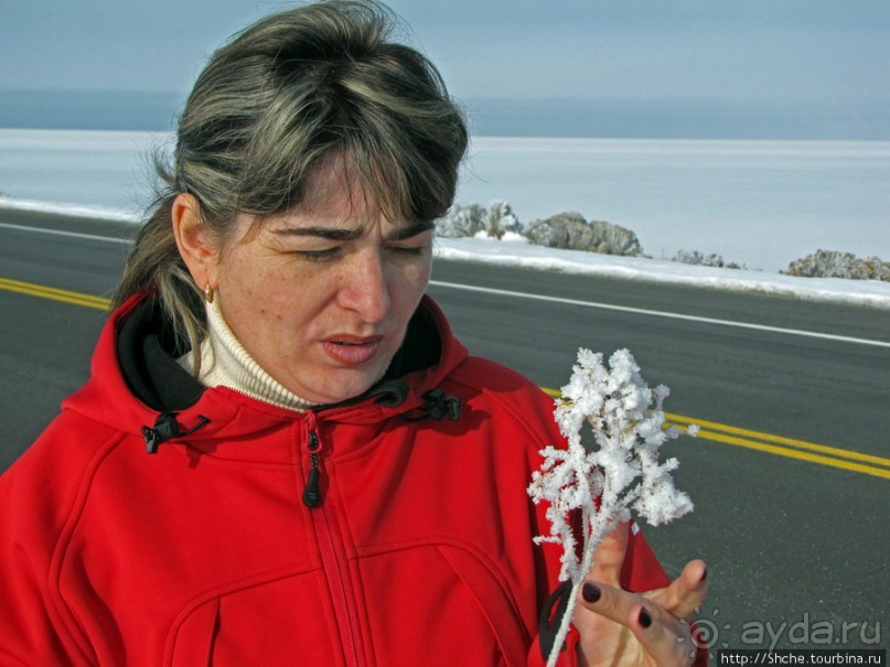 Альбом отзыва "Antelope Island - заповедник в Большом Соленом озере."