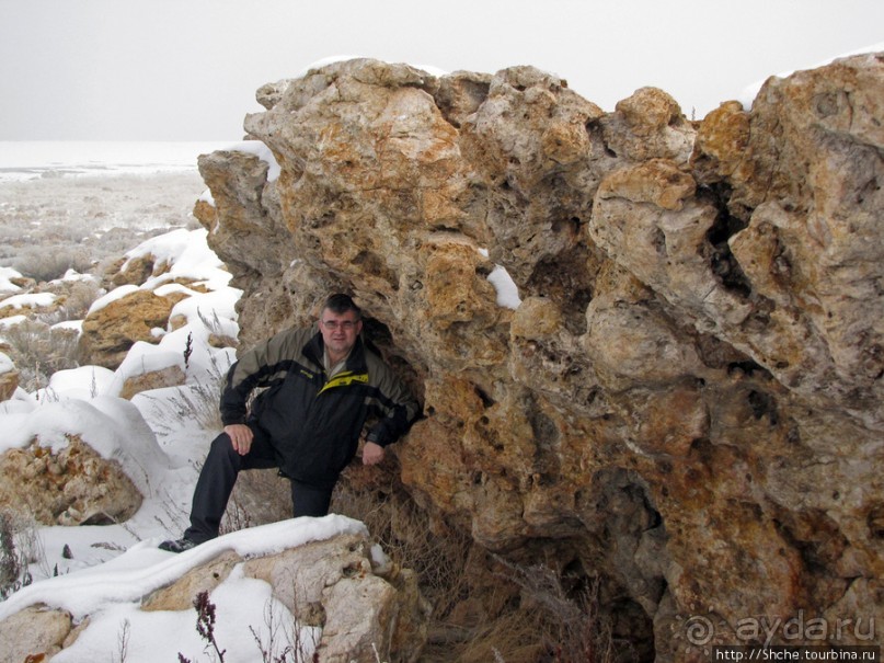 Альбом отзыва "Antelope Island - заповедник в Большом Соленом озере."