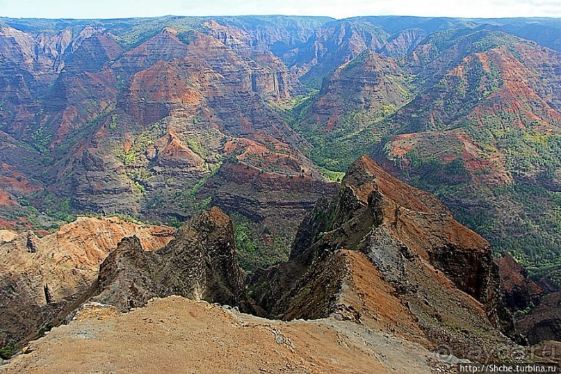 Альбом отзыва "Ваймеа (Waimea Сanyon) — Великий Тихоокеанский каньон"