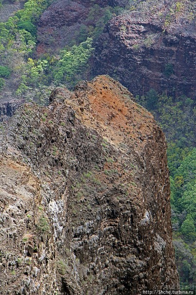 Альбом отзыва "Ваймеа (Waimea Сanyon) — Великий Тихоокеанский каньон"