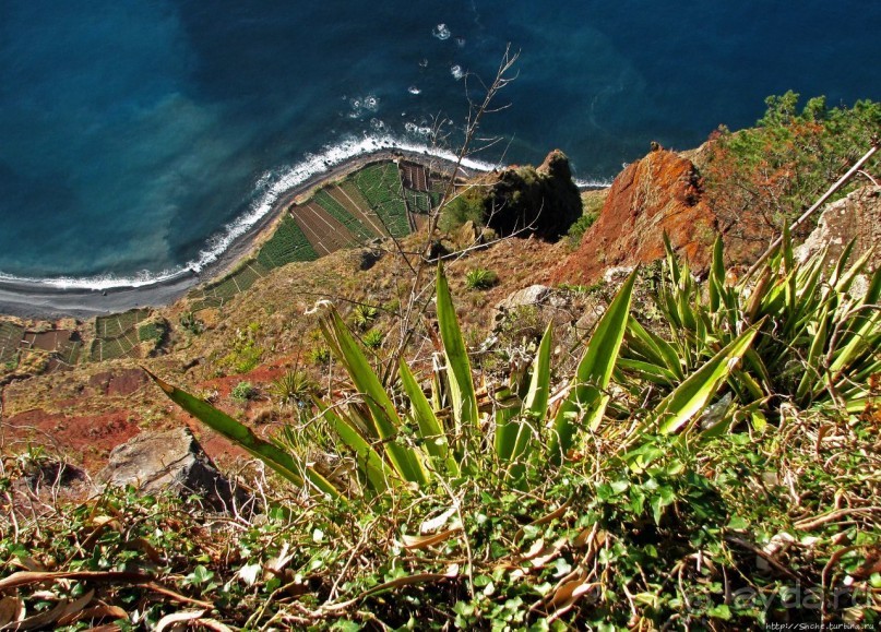 Альбом отзыва "Воспоминаинияо Мадейре. Cabo Girão — высочайший мыс Европы"