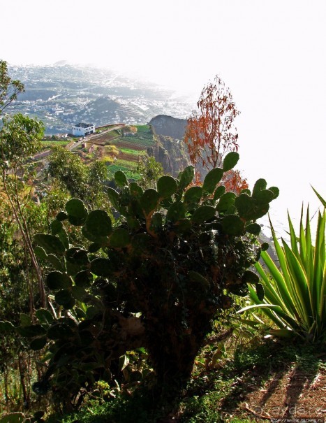 Альбом отзыва "Воспоминаинияо Мадейре. Cabo Girão — высочайший мыс Европы"