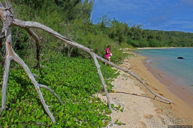 Альбом отзыва "Laulau Bay — дикий залив для дайверов и усталых путников"