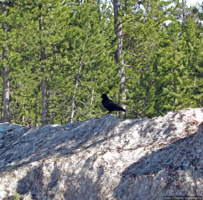 Альбом отзыва "West Yellowstone - западные ворота нац. парка Йеллоустоун"