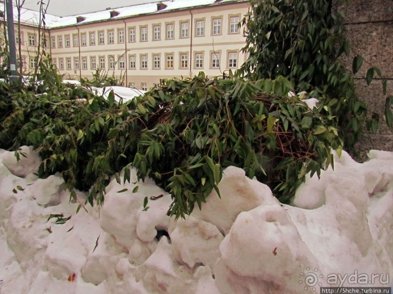 Альбом отзыва "Инсбрук. Городские картинки"