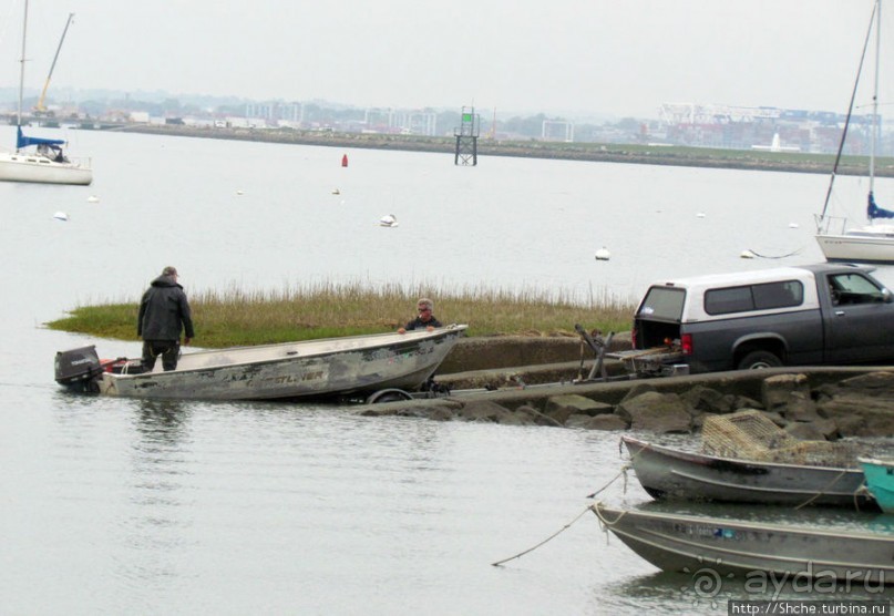 Альбом отзыва "Городок Winthrop — обратная сторона Бостонской гавани"