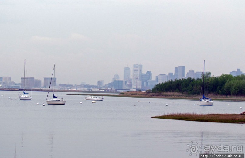 Альбом отзыва "Городок Winthrop — обратная сторона Бостонской гавани"