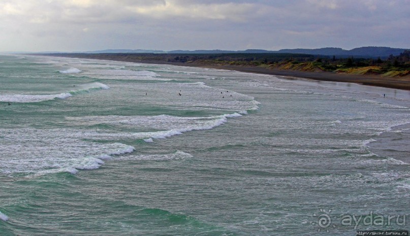 Альбом отзыва "Muriwai Beach — вероятно, лучший пляж на Северном острове"