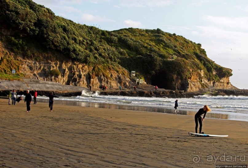 Альбом отзыва "Muriwai Beach — вероятно, лучший пляж на Северном острове"