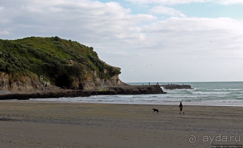 Альбом отзыва "Muriwai Beach — вероятно, лучший пляж на Северном острове"