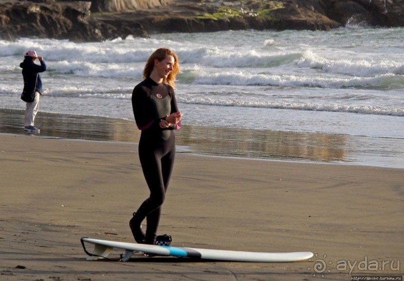 Альбом отзыва "Muriwai Beach — вероятно, лучший пляж на Северном острове"