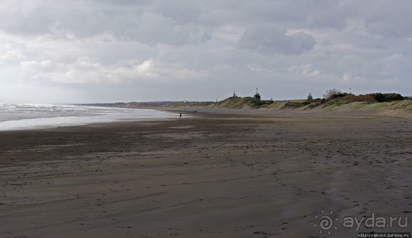 Альбом отзыва "Muriwai Beach — вероятно, лучший пляж на Северном острове"