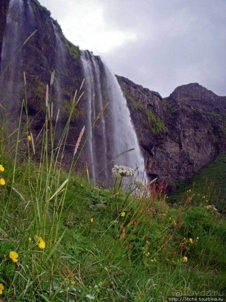 Альбом отзыва "Водопад Seljalandsfoss - пройтись под струей"