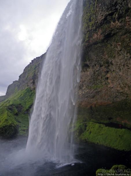 Альбом отзыва "Водопад Seljalandsfoss - пройтись под струей"