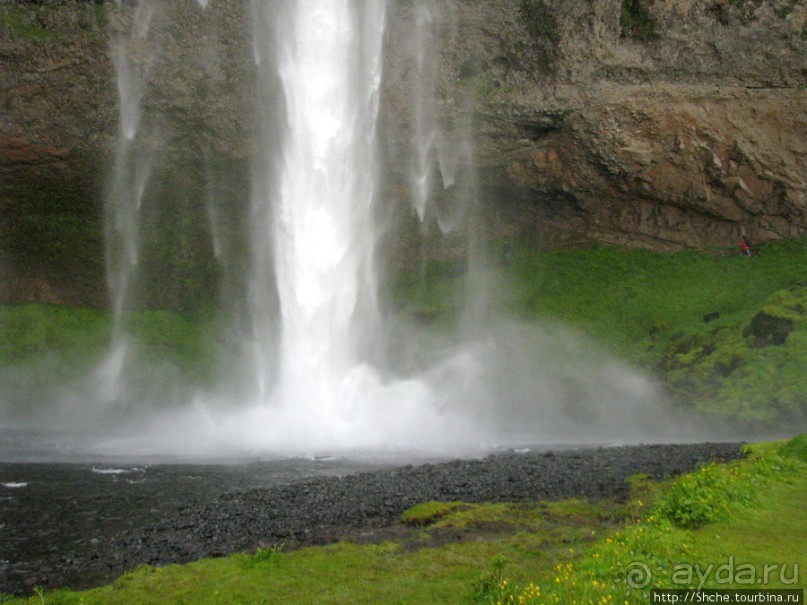 Альбом отзыва "Водопад Seljalandsfoss - пройтись под струей"