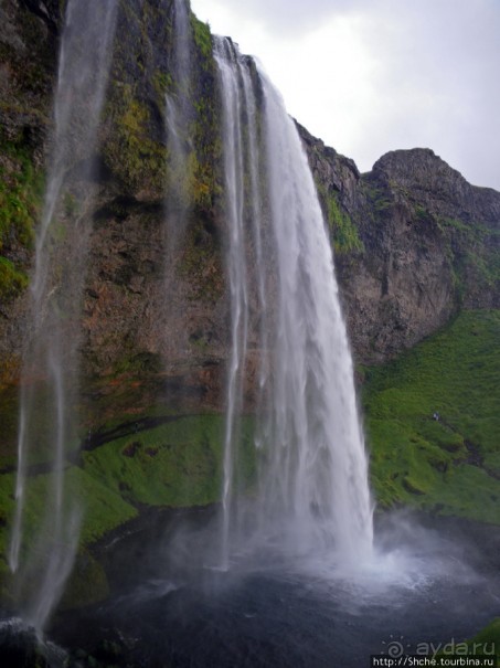 Альбом отзыва "Водопад Seljalandsfoss - пройтись под струей"