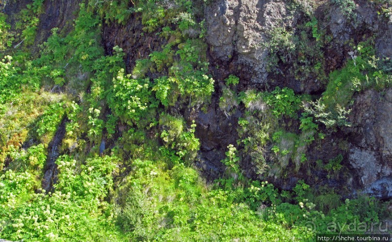 Альбом отзыва "Barnafoss — такой недетский "детский водопад""