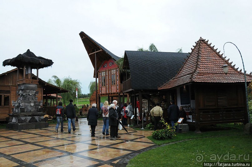 Альбом отзыва "Выставка цветов в Голландии "Floriada""