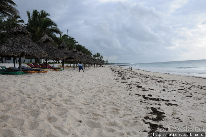 Альбом отзыва "Популярный отель на побережье Diani Beach"