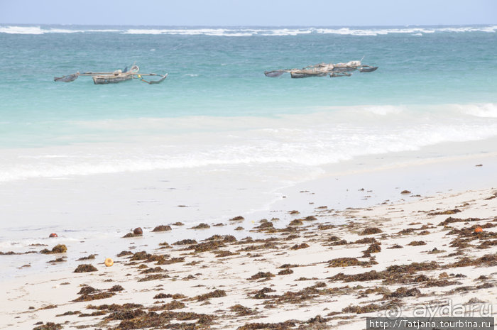 Альбом отзыва "Популярный отель на побережье Diani Beach"