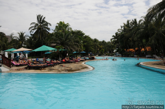 Альбом отзыва "Популярный отель на побережье Diani Beach"