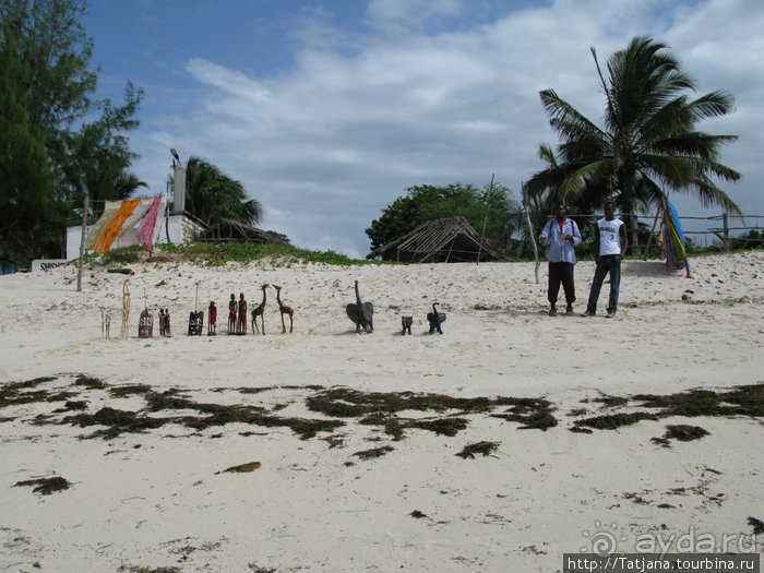 Альбом отзыва "Популярный отель на побережье Diani Beach"