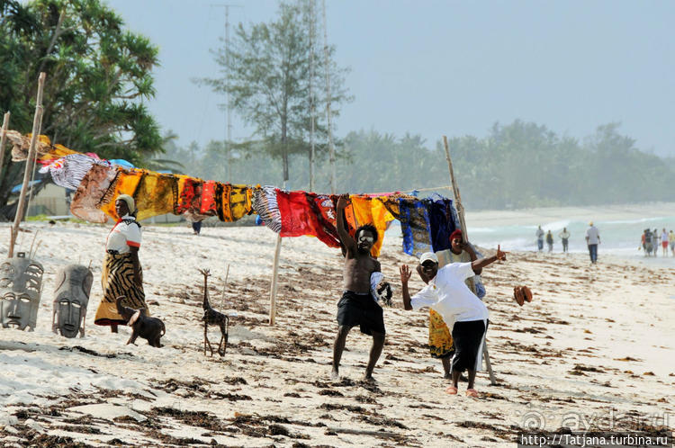 Альбом отзыва "Популярный отель на побережье Diani Beach"