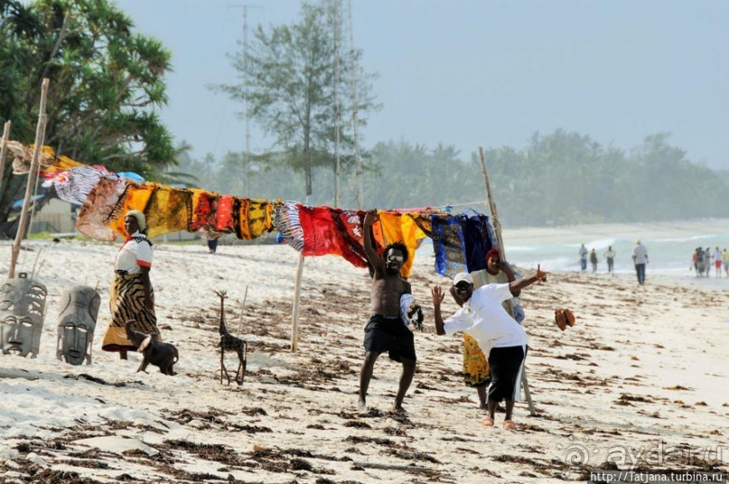 Альбом отзыва "Популярный отель на побережье Diani Beach"