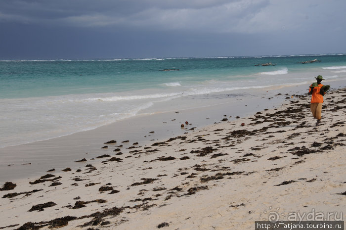 Альбом отзыва "Популярный отель на побережье Diani Beach"