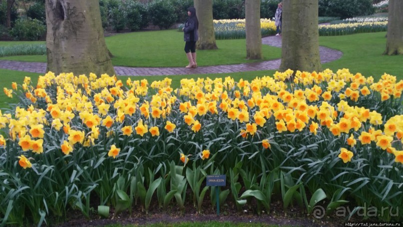 Альбом отзыва "Весна в Голландии в парке Keukenhof"