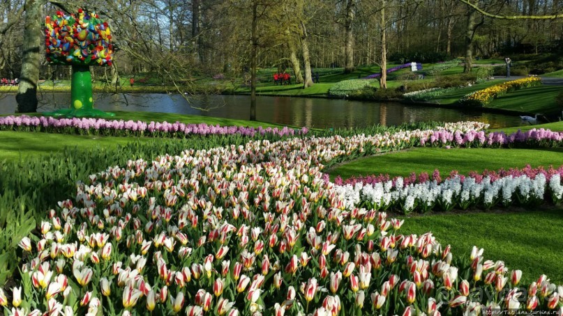 Альбом отзыва "Весна в Голландии в парке Keukenhof"