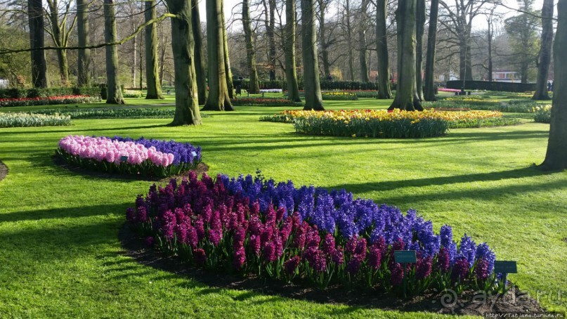 Альбом отзыва "Весна в Голландии в парке Keukenhof"