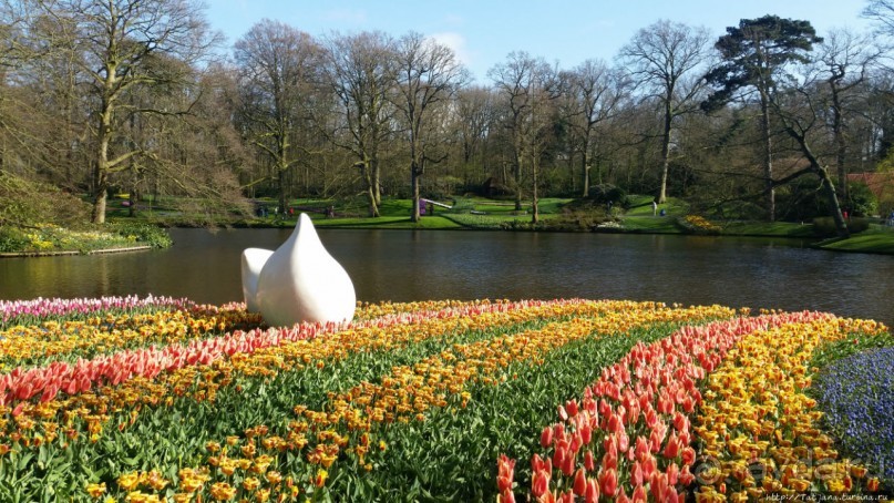 Альбом отзыва "Весна в Голландии в парке Keukenhof"