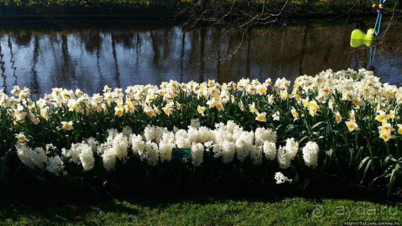 Альбом отзыва "Весна в Голландии в парке Keukenhof"