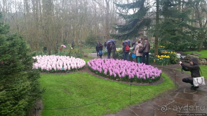 Альбом отзыва "Весна в Голландии в парке Keukenhof"