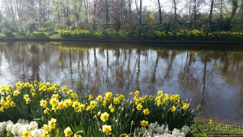 Альбом отзыва "Весна в Голландии в парке Keukenhof"